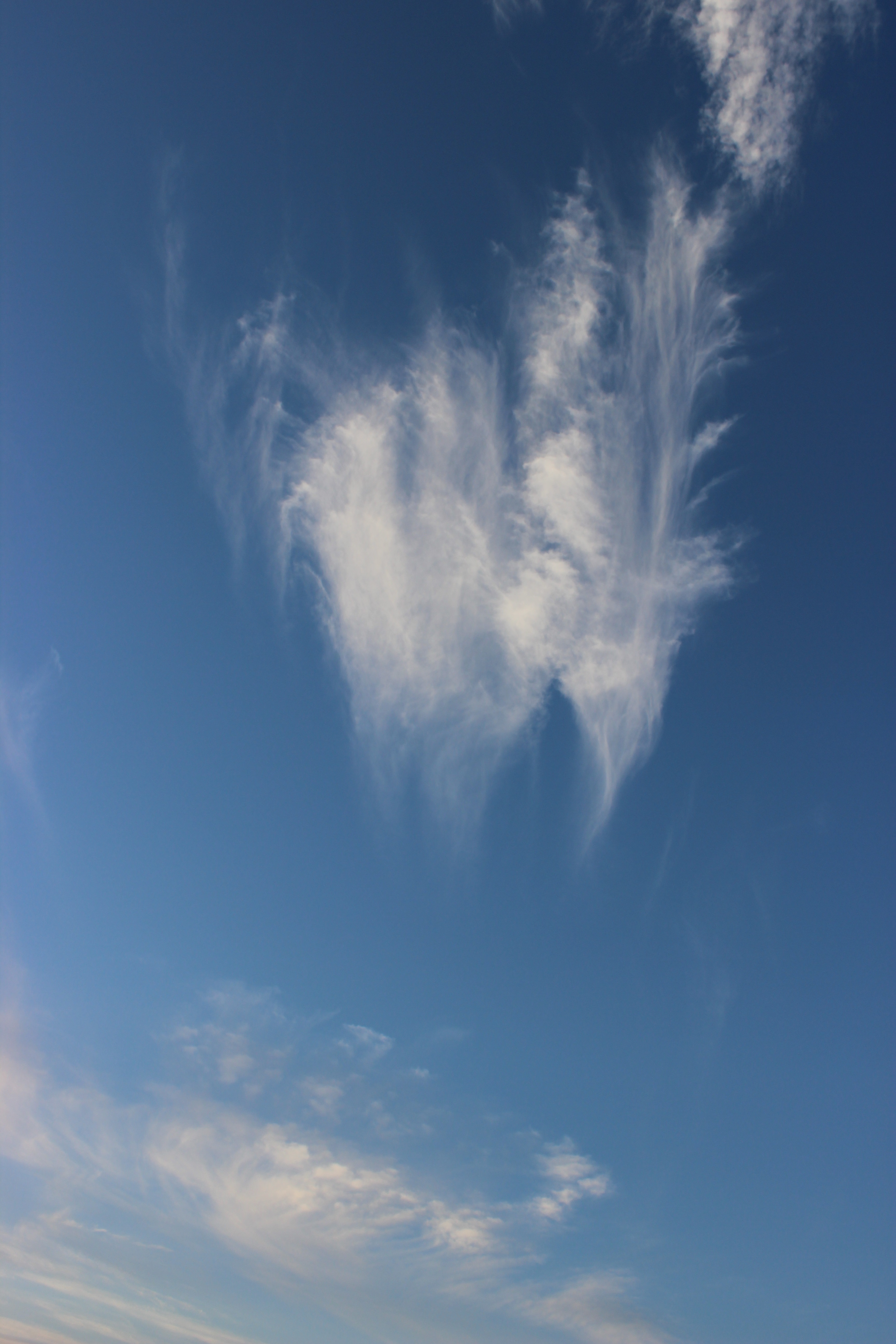 Cirrus-fjærsky-Foto-Cumula.jpg#asset:11668