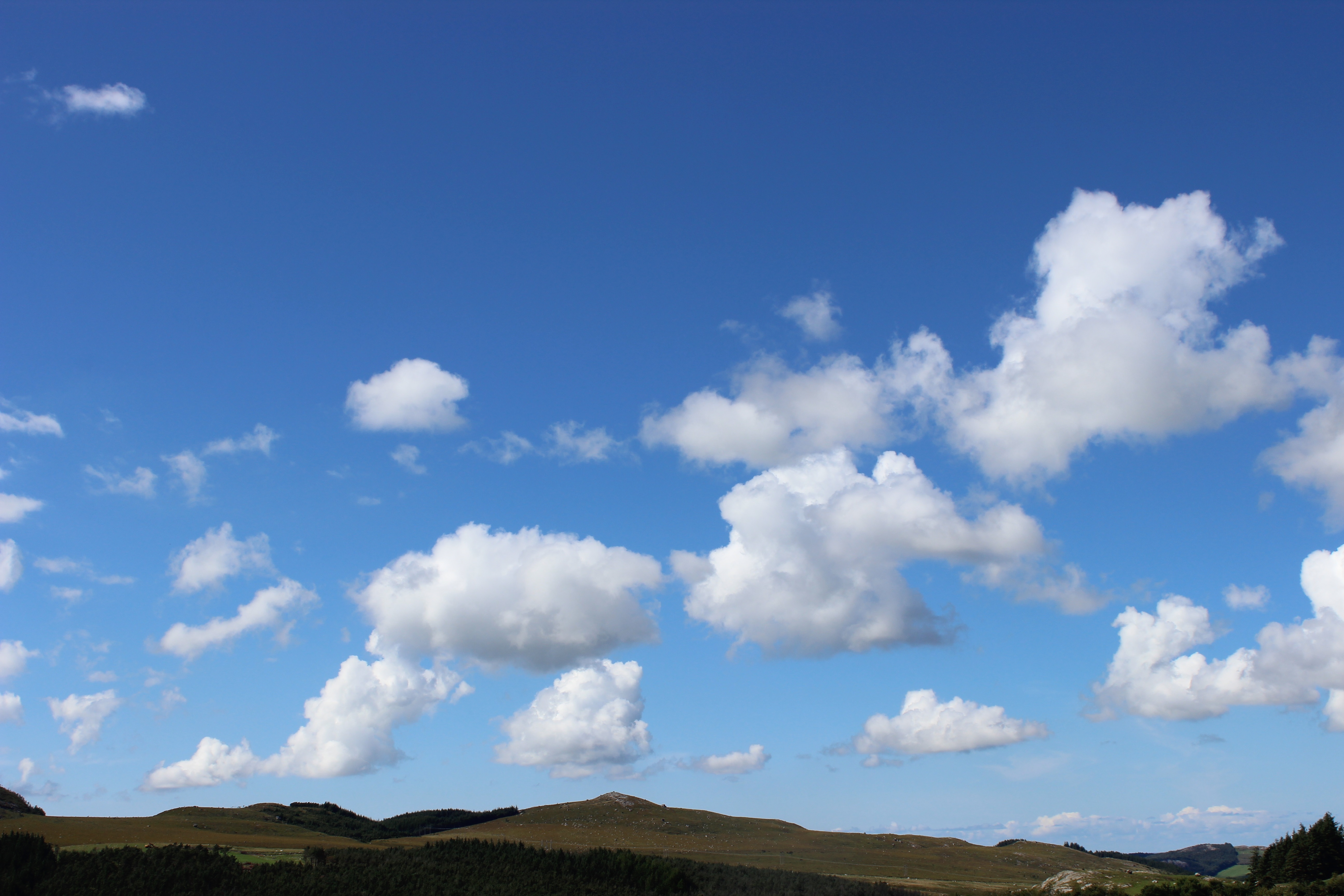 Cumulus-dannes-like-over-bakken-Foto-Cumula.jpg#asset:11670